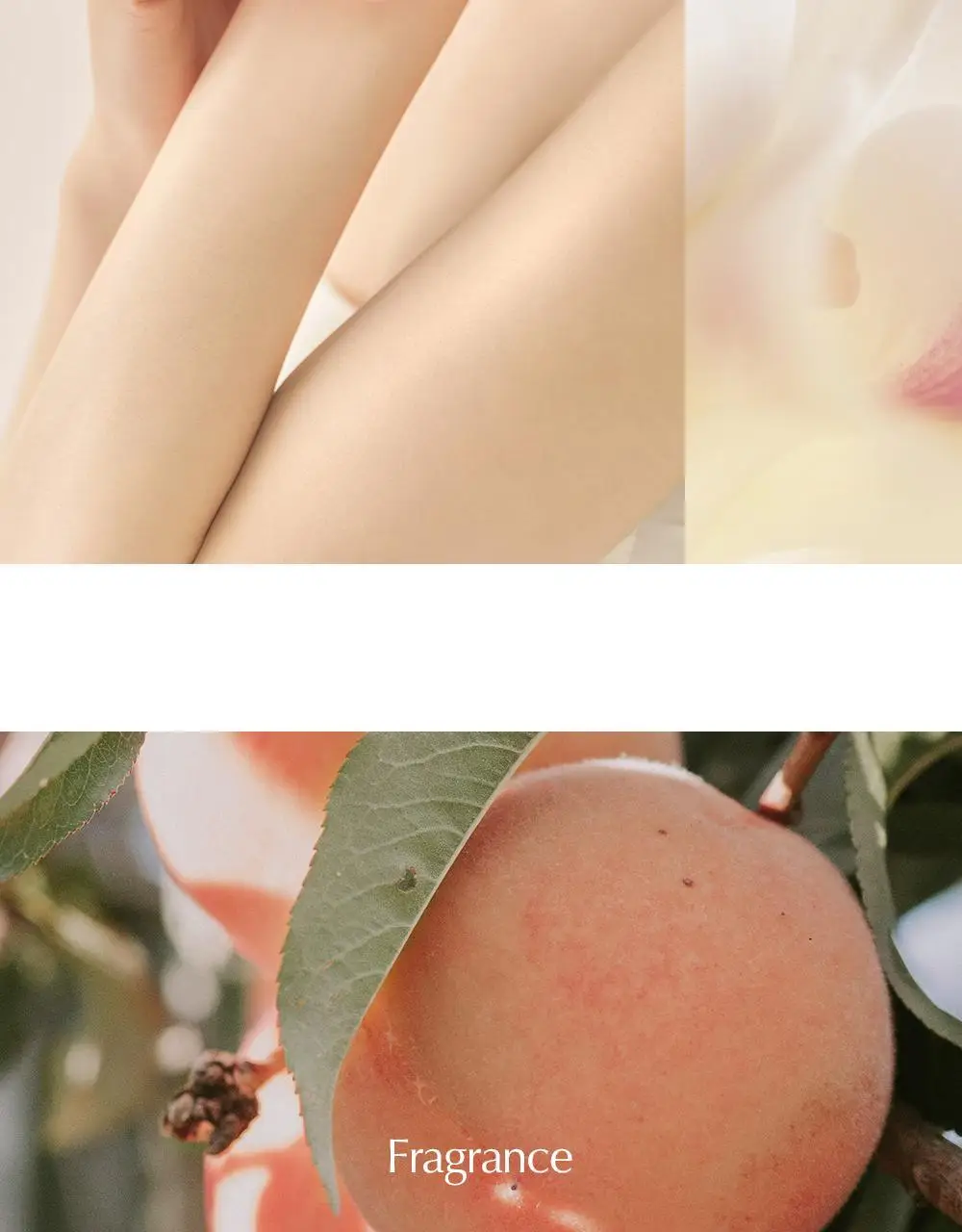 [리뉴얼] 루아페 화이트 애프리콧 핸드크림 40ml 상세페이지 7